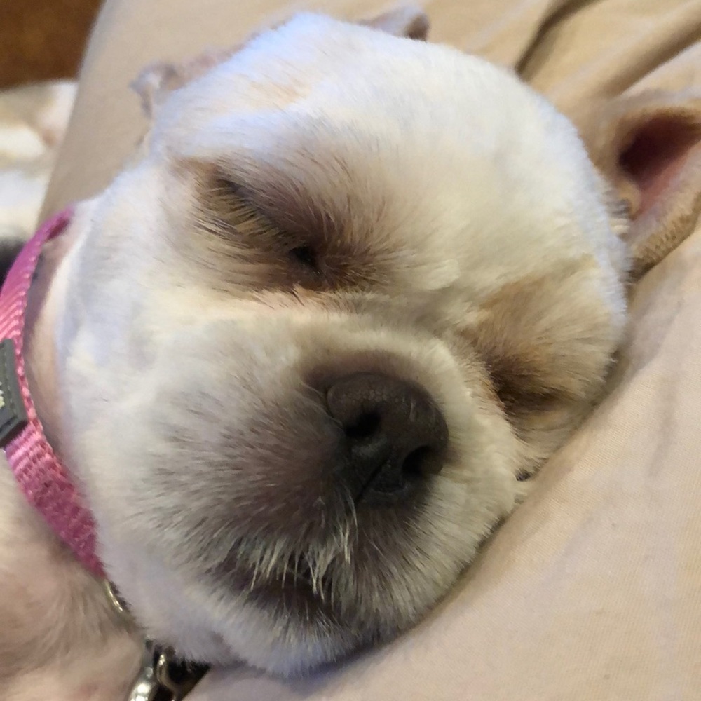 Meet your Posher, Summer